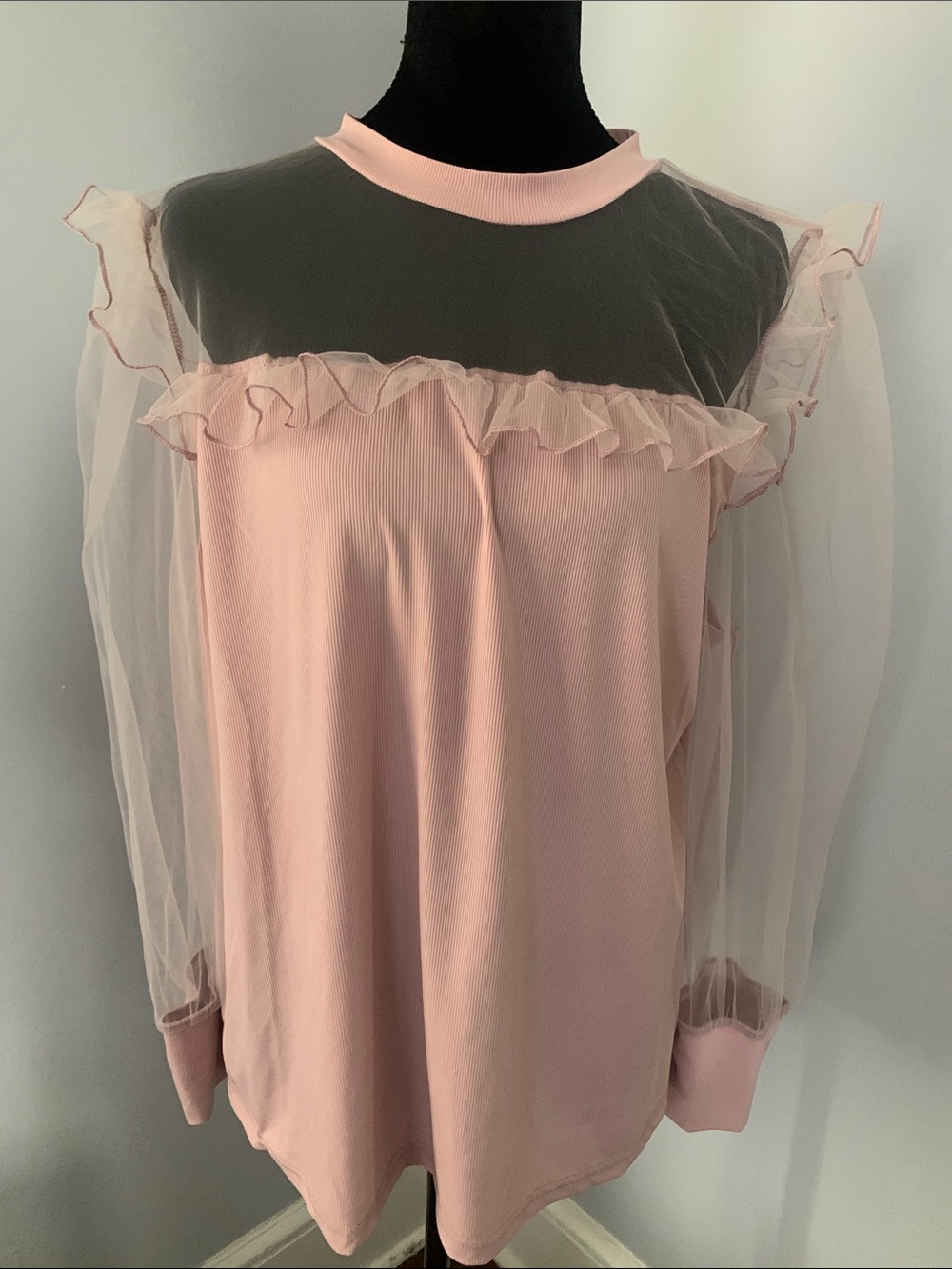 🆕- Women’s Sheer Ruffle Long-Sleeve Top - Blush Pink